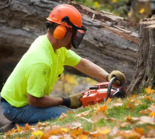 tree services Cade